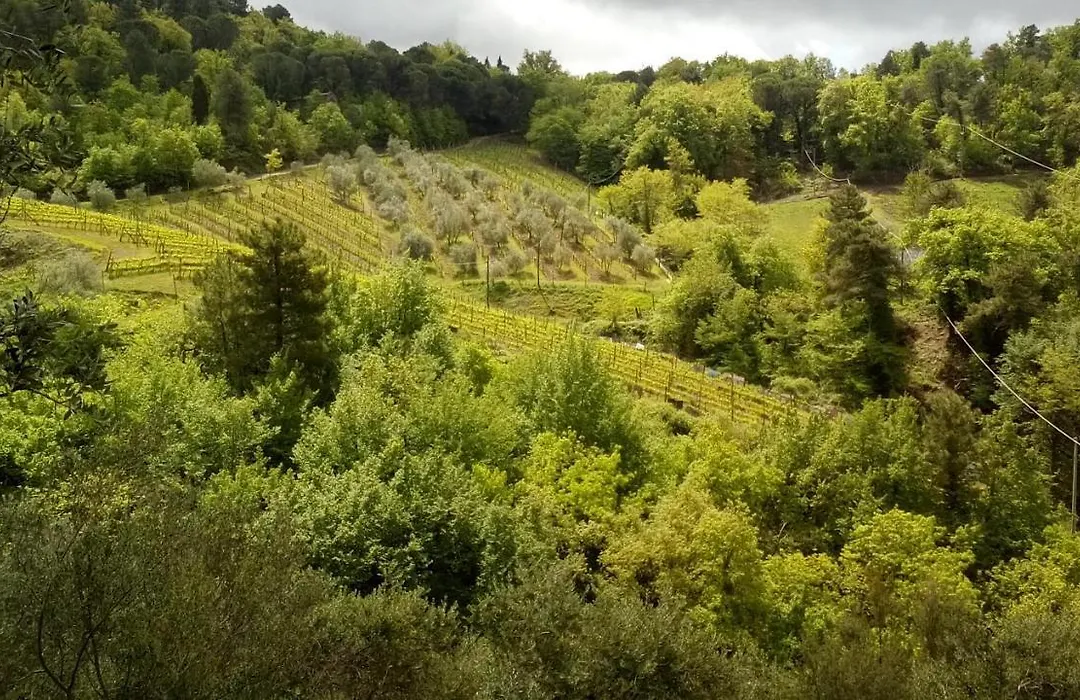 Little B&B Della Pieve-1