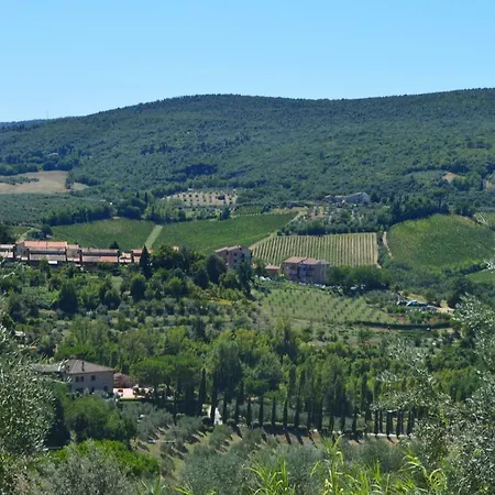 Damario Panorama-3